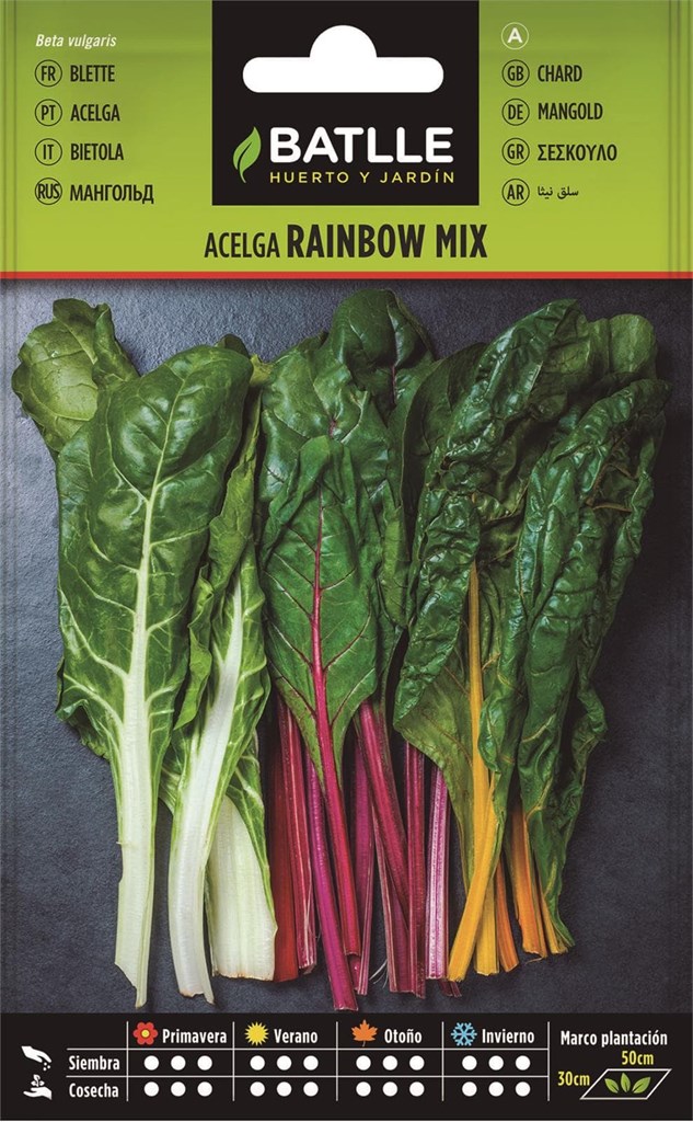 Foto 1 Acelga Rainbow Mix Batlle
