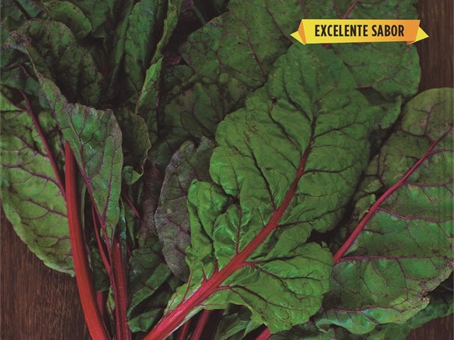 Acelga Roja Rhubarb Chard Batlle