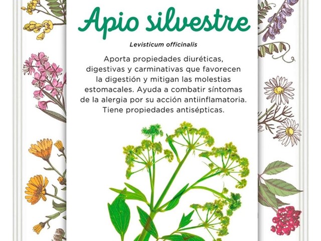 Apio silvestre