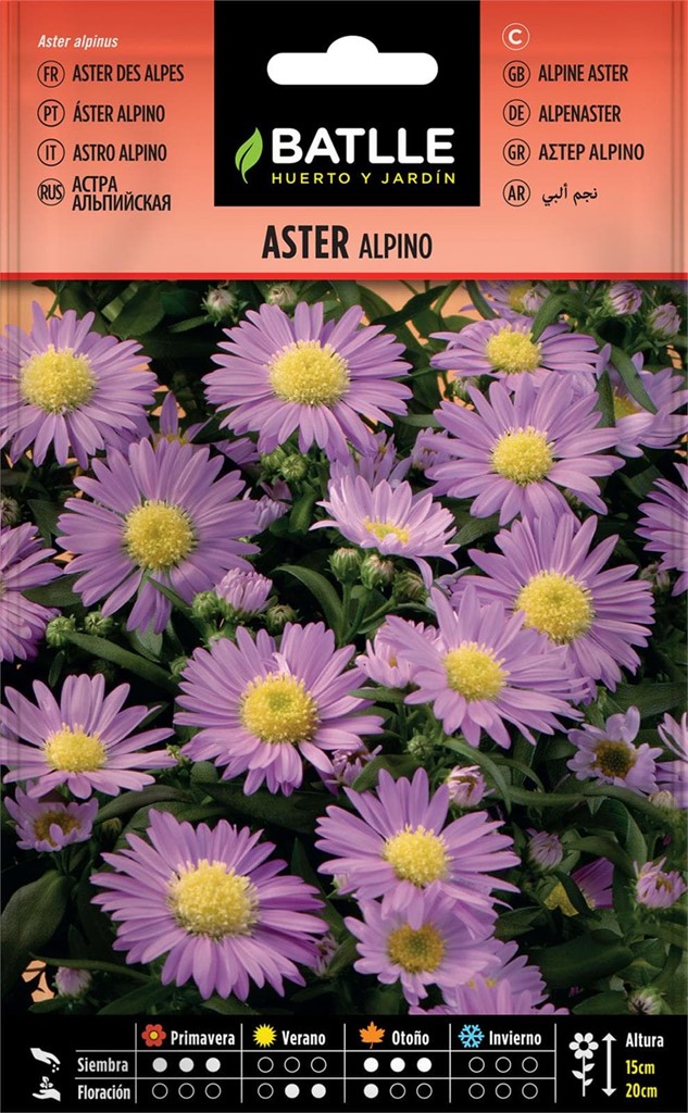 Foto 1 Aster Alpino Batlle