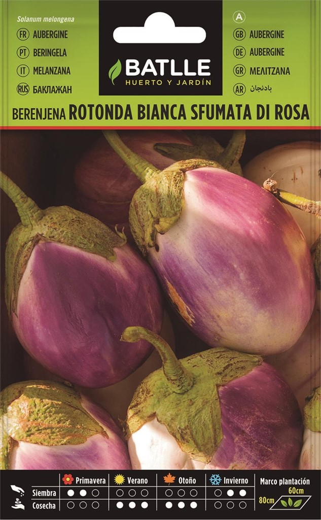 Foto 1 Berenjena Rotonda Bianca Sfumata di Rosa Batlle