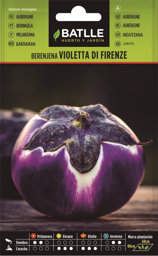 Foto 1 Berenjena Violetta di Firenze Batlle