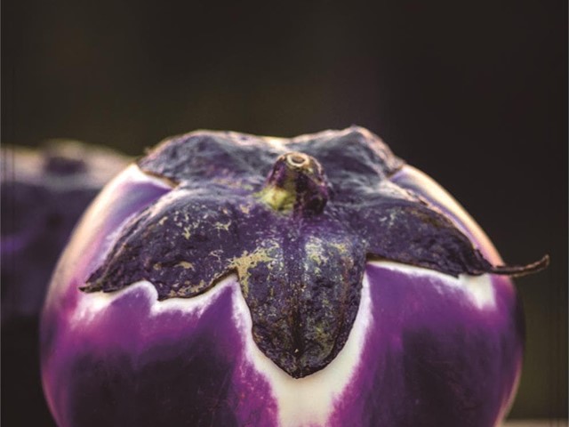 Berenjena Violetta di Firenze Batlle