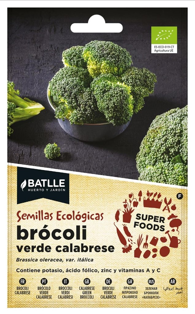 Foto 1 Brócoli verde calabrese