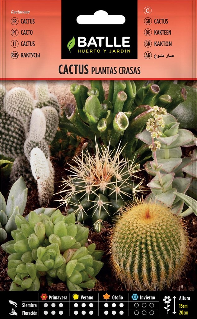 Foto 1 Cactus Plantas Crasas Batlle