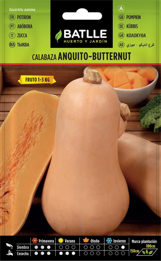 Foto 1 Calabaza Anquito-Butternut Batlle