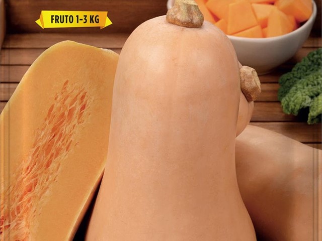 Calabaza Anquito-Butternut Batlle
