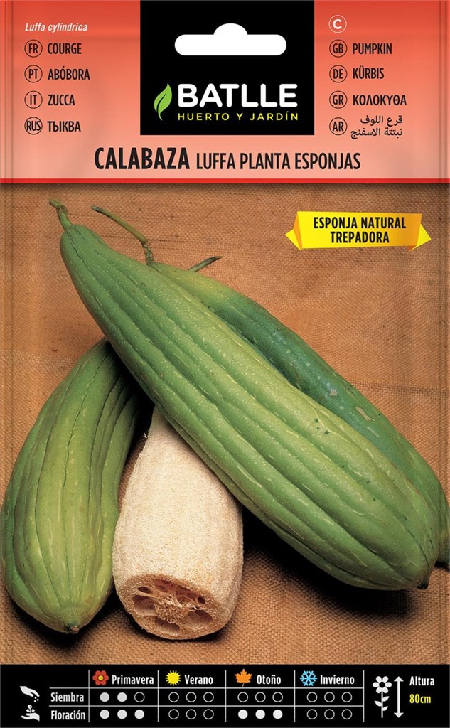 Foto 1 Calabaza Luffa Planta de las Esponjas Batlle