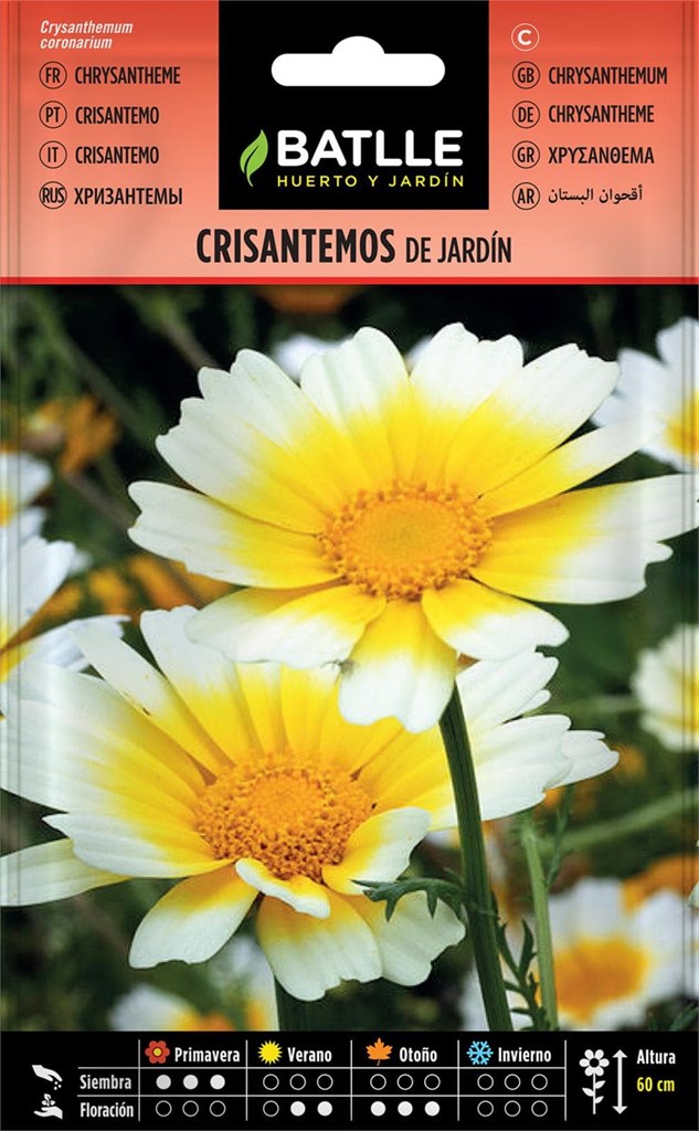 Foto 1 Crisantemos de Jardín Batlle