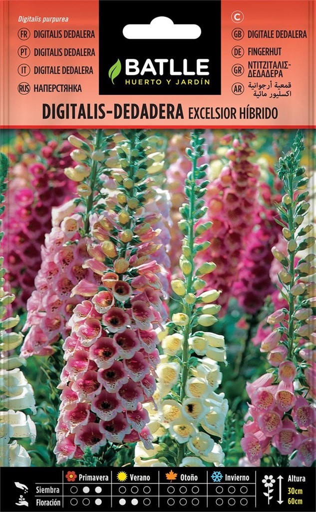 Foto 1 Digitalis-Dedadera Excelsior Híbrido Batlle