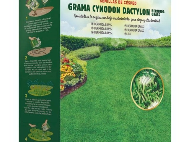 Grama Cynodon Dactylon Bermuda Grass 1kg Batlle