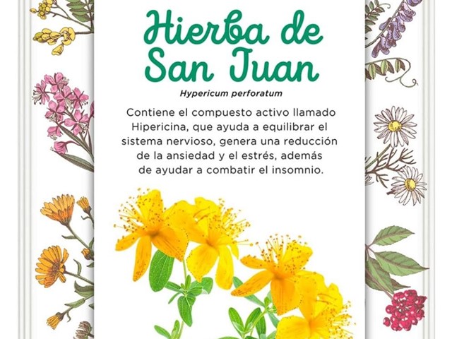 Hierba de San Juan