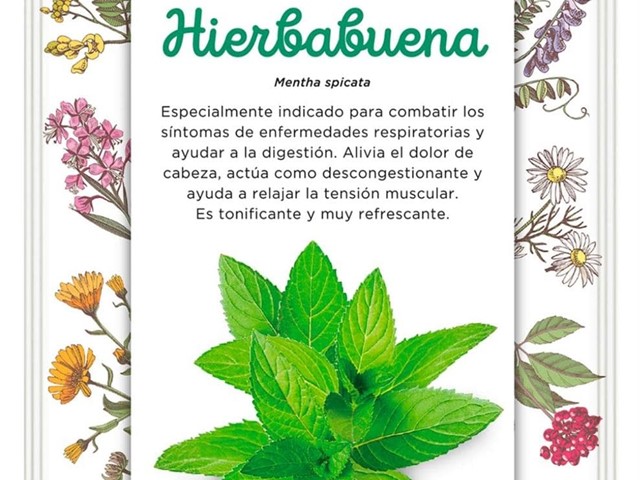 Hierbabuena 