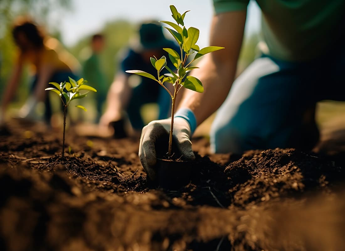 Fertilizantes para plantas en Cedeira