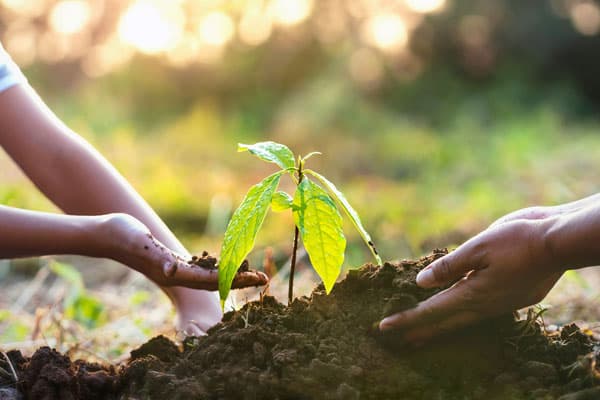 tienda de agricultura en cedeira
