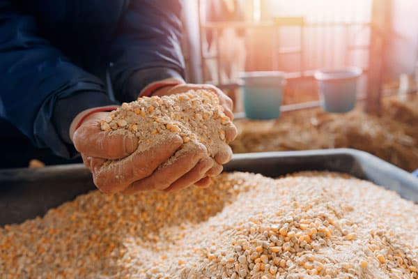 productos agrícolas cedeira