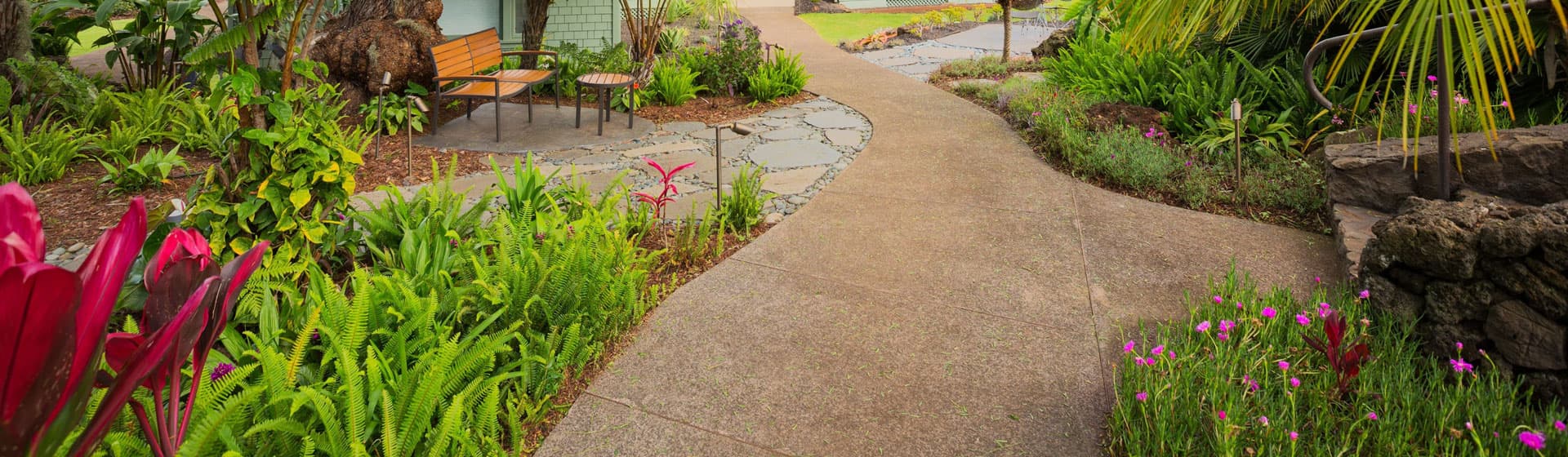 Confía en Enxebre para un jardín impecable