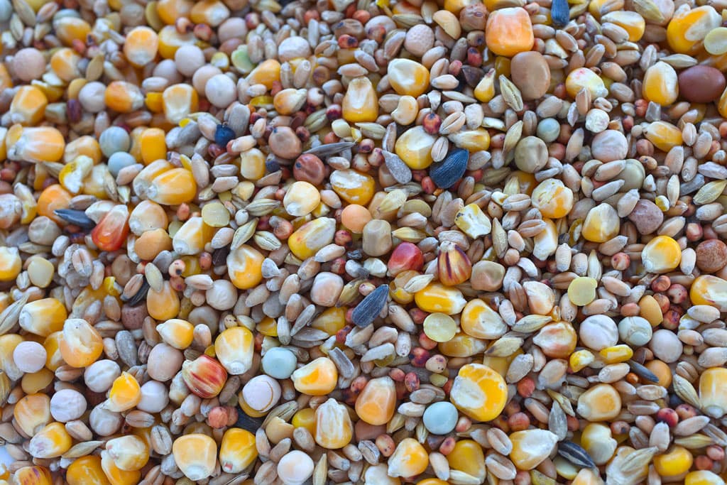 Contamos con pienso para mascotas y animales de granja