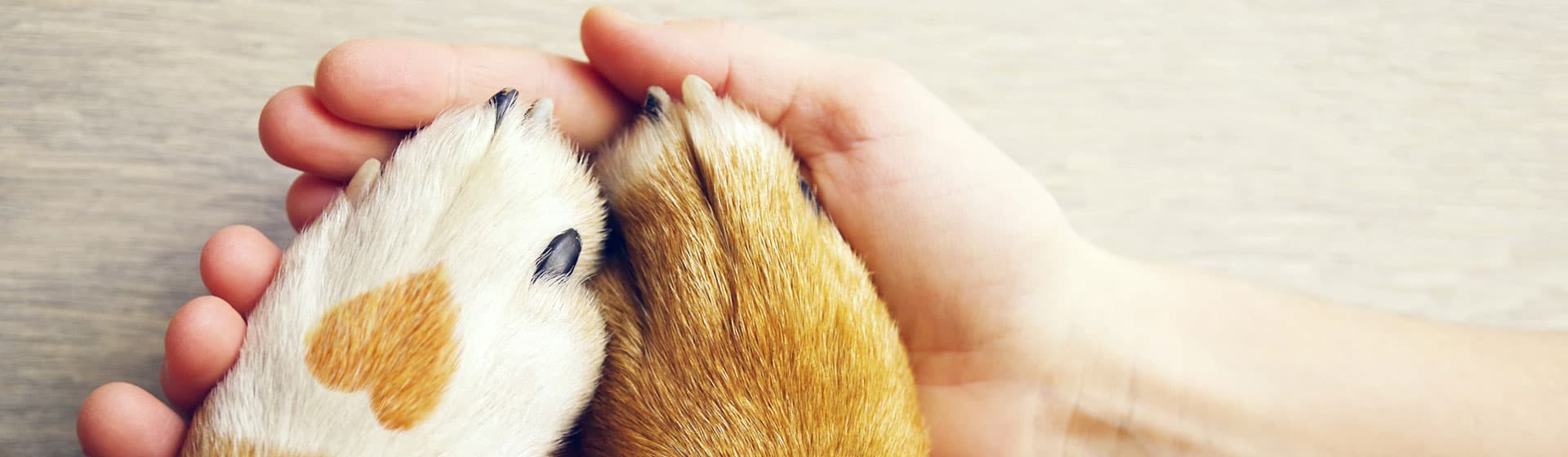 En Enxebre te ayudamos con el cuidado de tu cultivo... ¡Y mucho más!