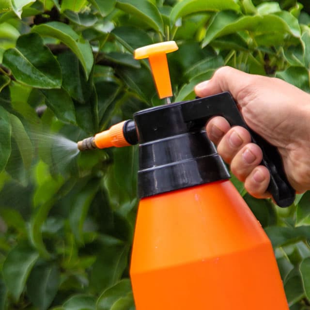 Producto fitosanitario en cedeira