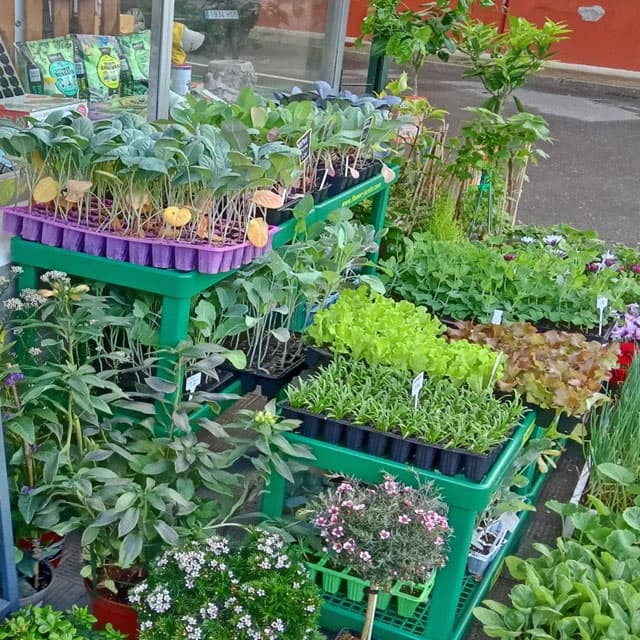 tienda agrícola cedeira