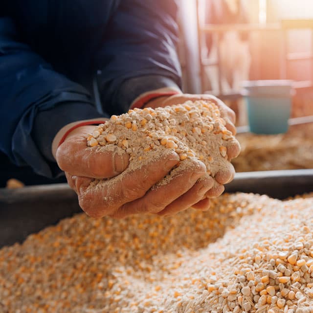 ¿Buscas pienso para tus animales o mascotas en Cedeira?