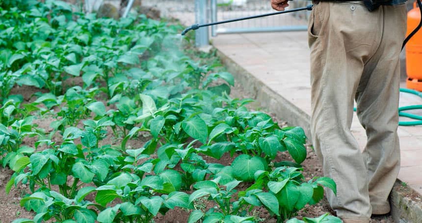 Comprar herbicida cedeira