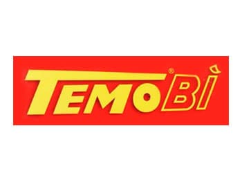 Logo Temobi