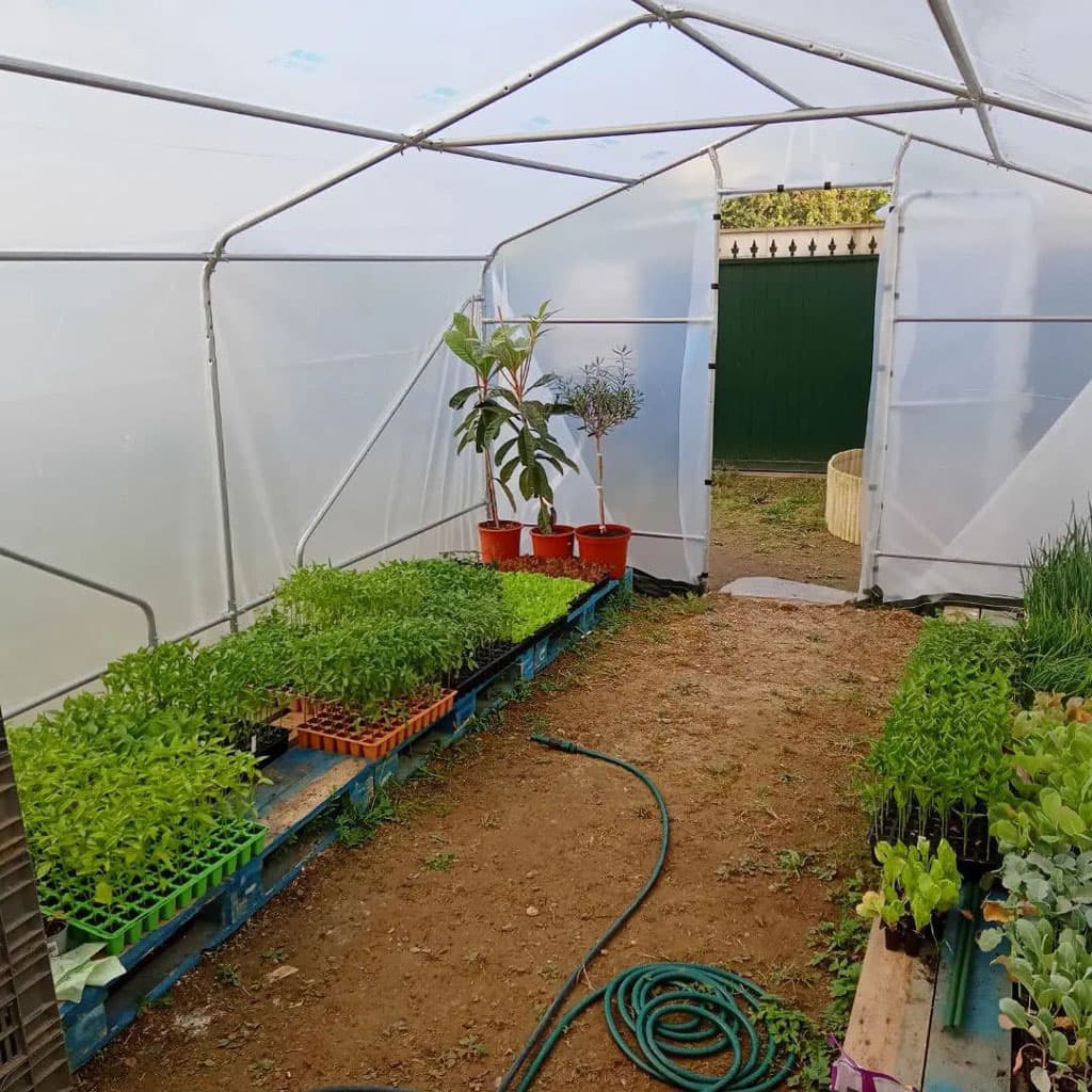 Herbicida en cedeira