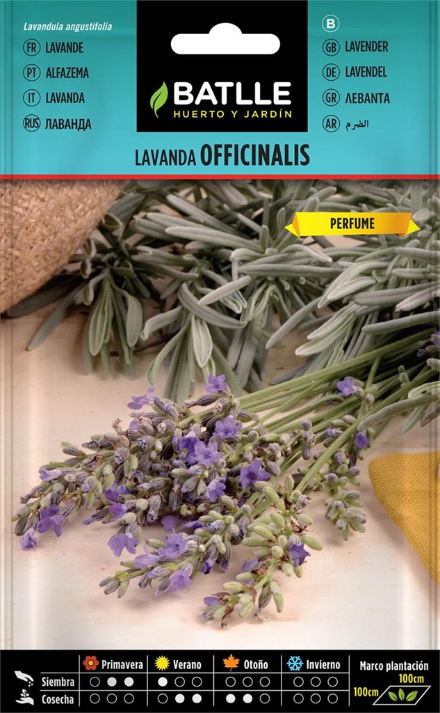 Foto 1 Lavanda Officinalis Batlle