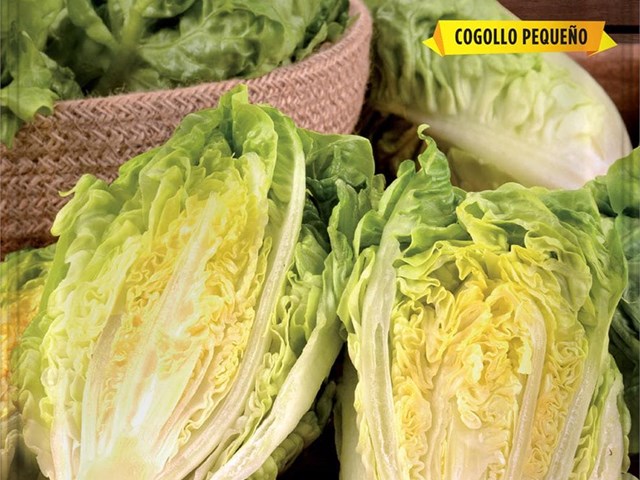 Lechuga Romana Little Gem Cogollo Pequeño Batlle