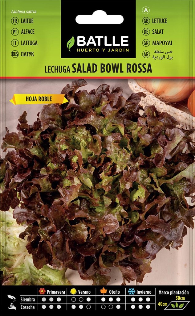 Foto 1 Lechuga Salad Bowl Rossa Hoja de Roble Batlle