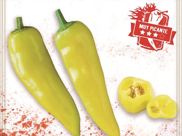 Pimiento Wax Hungarian Batlle