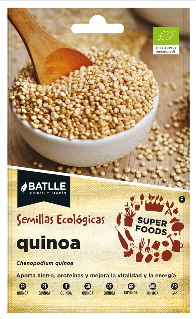 Foto 1 Quinoa