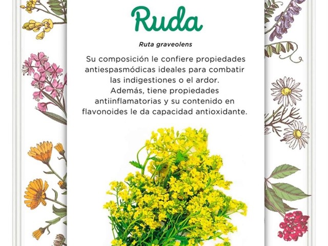 Ruda