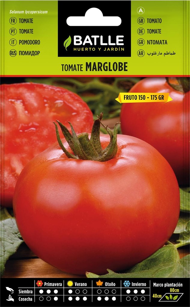 Foto 1 Tomate Marglobe Batlle