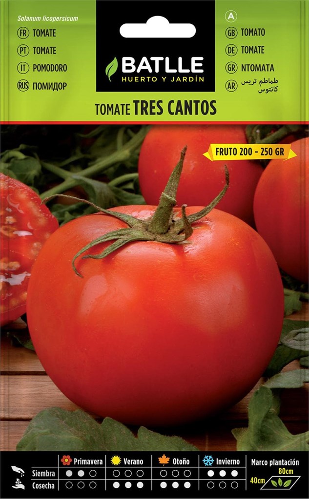 Foto 1 Tomate Tres Cantos Batlle