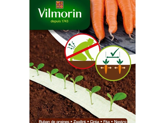 Zanahoria Nanco HF1 Cinta Vilmorin