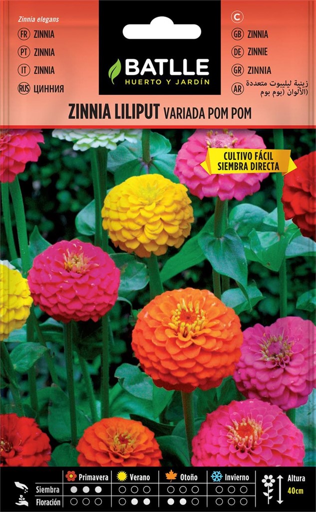 Foto 1 Zinnia Liliput Variada Pom Pom Batlle